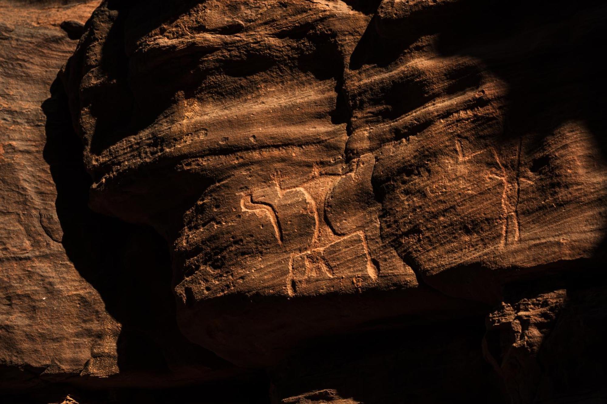 Milky Way Nights Camp Hotel Wadi Rum Exterior photo